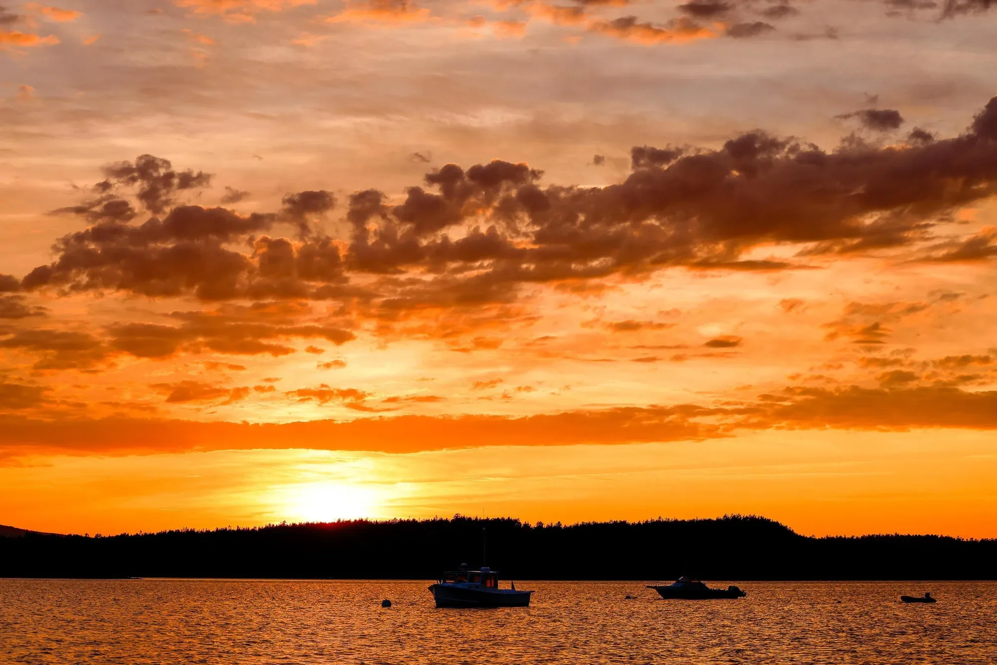 1513 Newbury Neck Road, Surry, ME 04684, Blue Hill, Maine, United States. - Photo 3