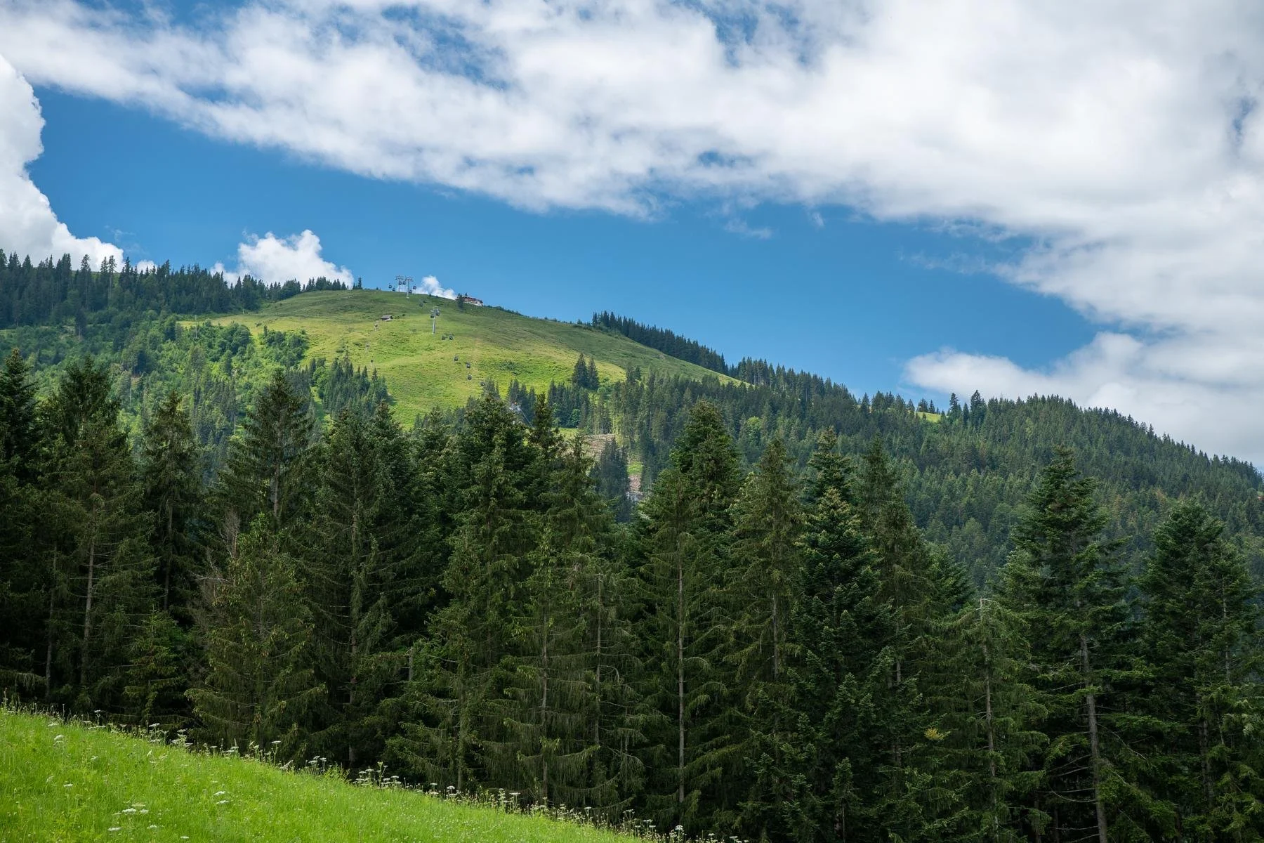 Kirchbichl, Ellmau, Tyrol, Austria. - Photo 5