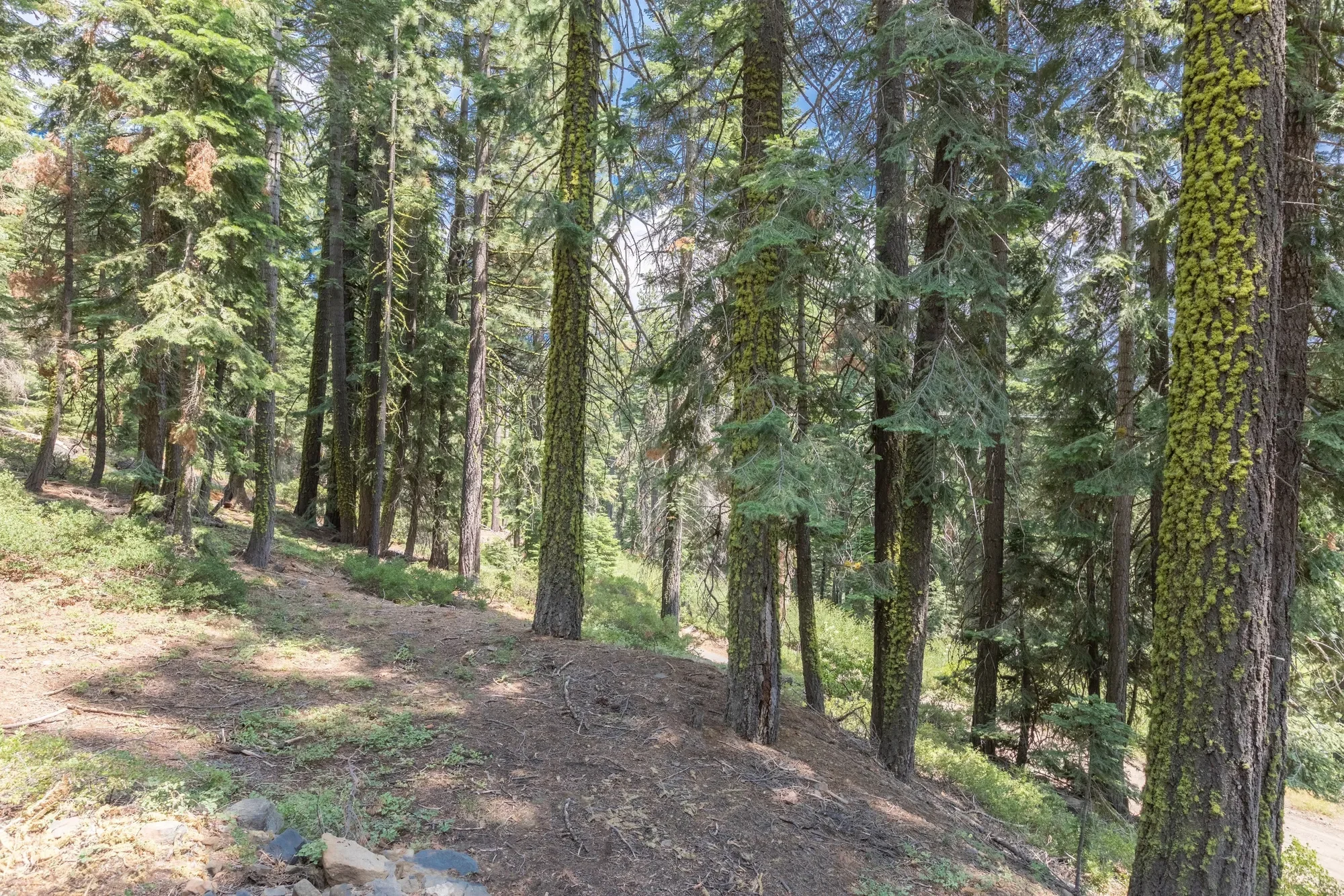 358 Twin Crags Rd., Tahoe City, CA 96145, Olympic Valley, California, United States. - Photo 4