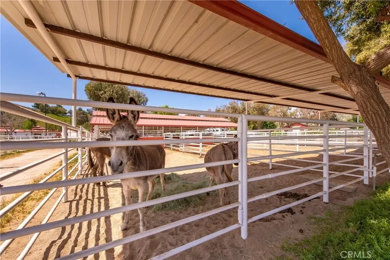 30505 Sloan Canyon Road, Castaic, CA 91384, Castaic, California, United States. - Photo 48