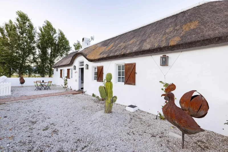 Paarl, Western Cape, South Africa. - Photo 16