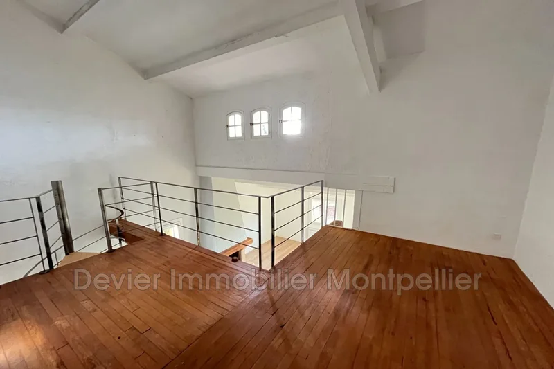 Montpellier, Occitanie, France. - Photo 8