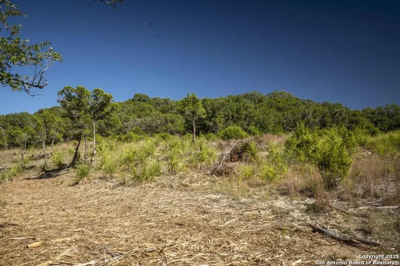 29008 Cibolo Cliff, Bulverde, Texas, United States. - Photo 34