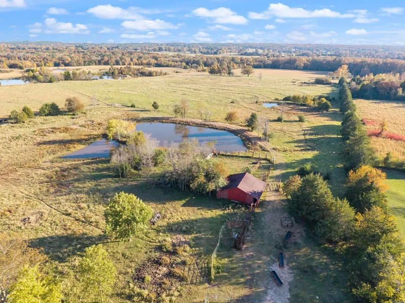 172 Blackfork Road, Greenbrier, AR 72058, Greenbrier, Arkansas, United States. - Photo 8