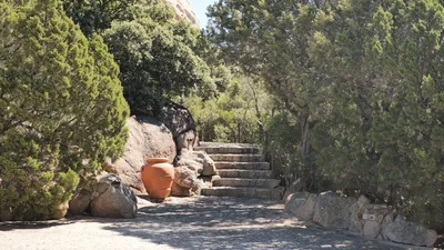 Thumbnail 11