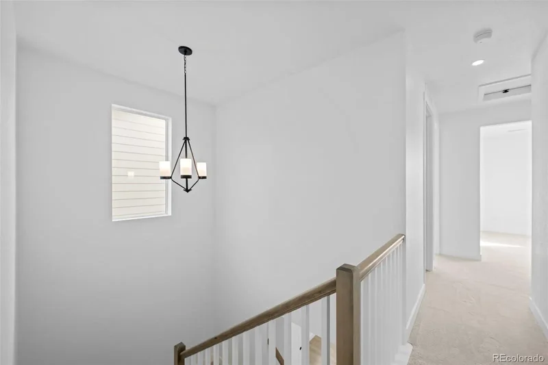 4885 Noris Avenue, Morrison, CO 80465, Morrison, Colorado, United States. - Photo 13