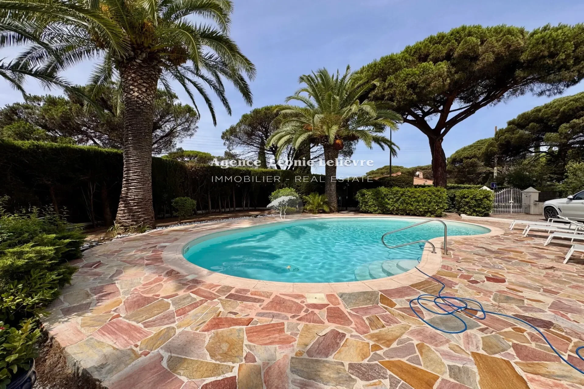 Roquebrune-sur-Argens, Provence-Alpes-Côte d'Azur, France. - Photo 6