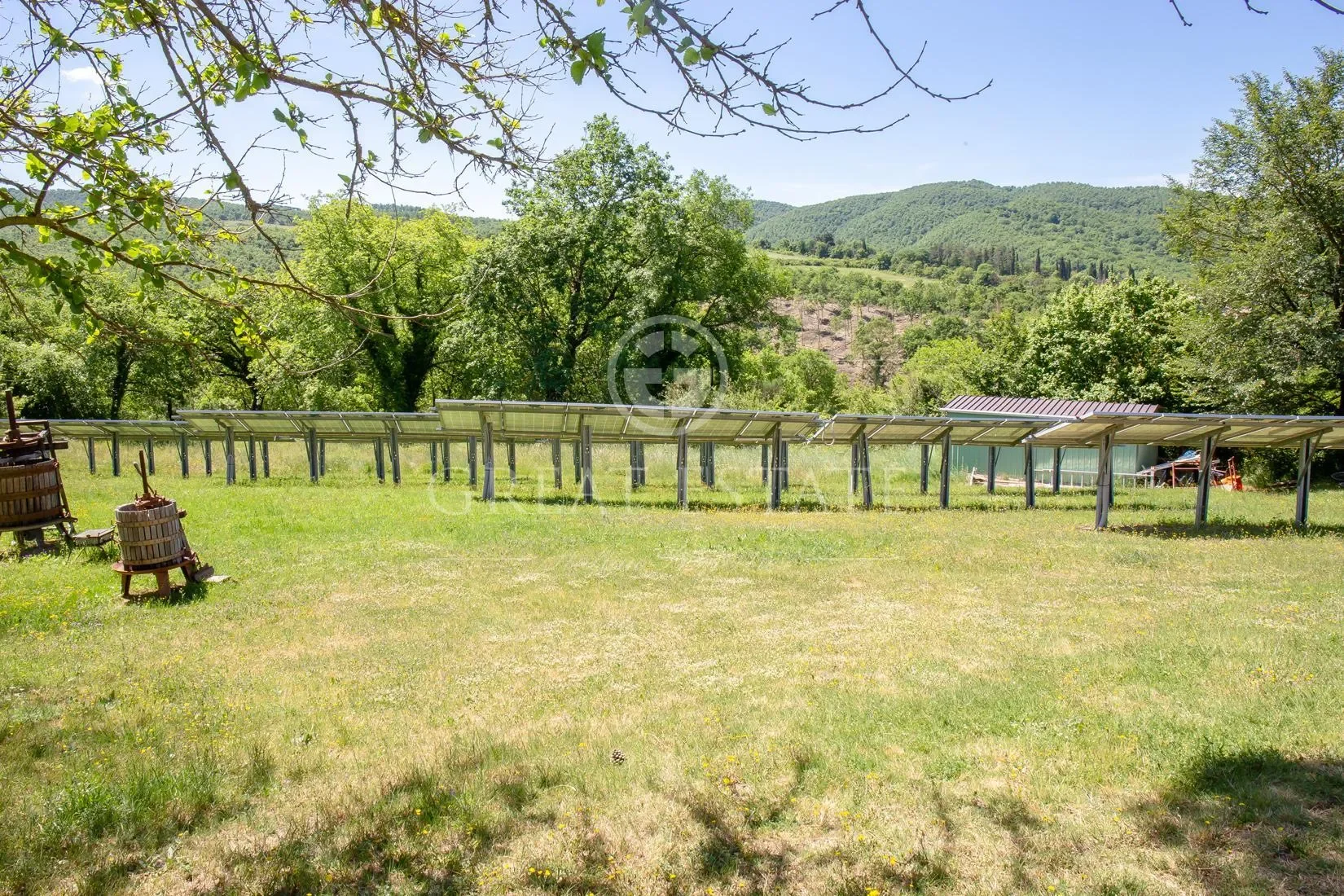 Umbria, Passignano sul Trasimeno, Umbria, Italy. - Photo 16