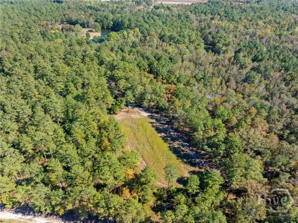 0 Honey Ridge Road, Millen, Georgia, United States. - Photo 47