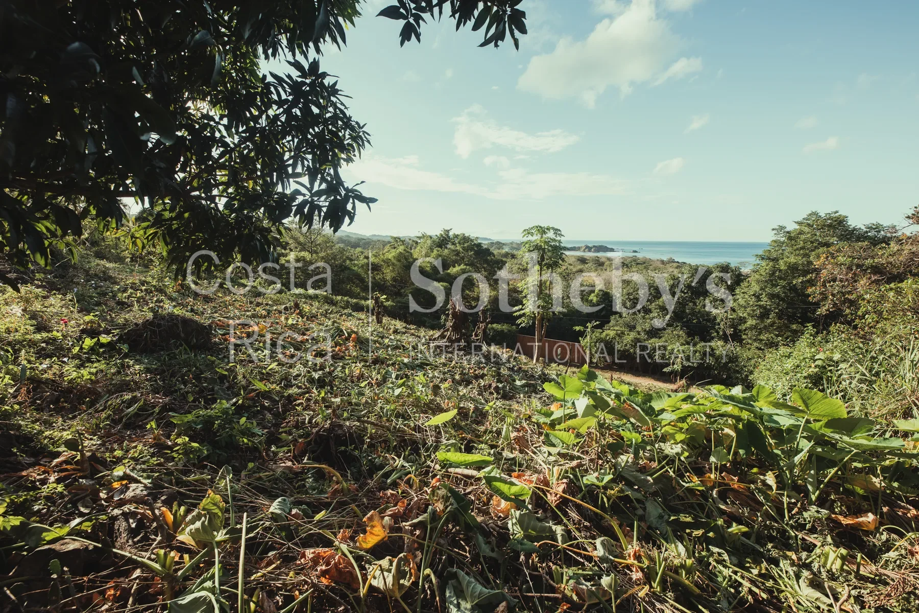 Gallery photo 8