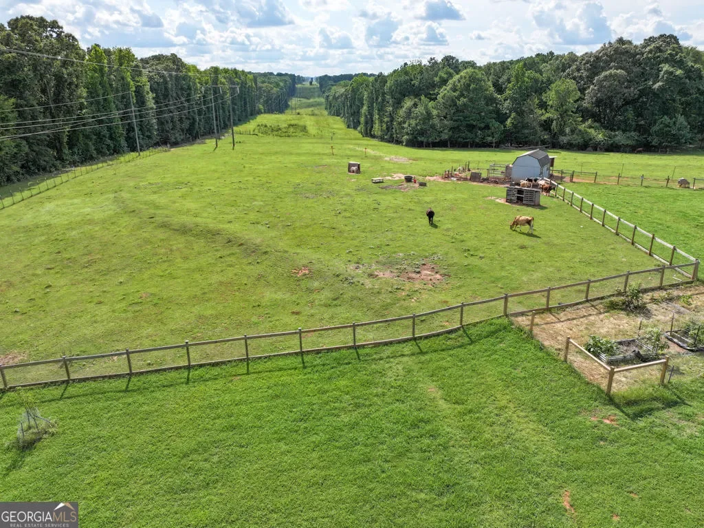 Bogart, Georgia, United States. - Photo 42
