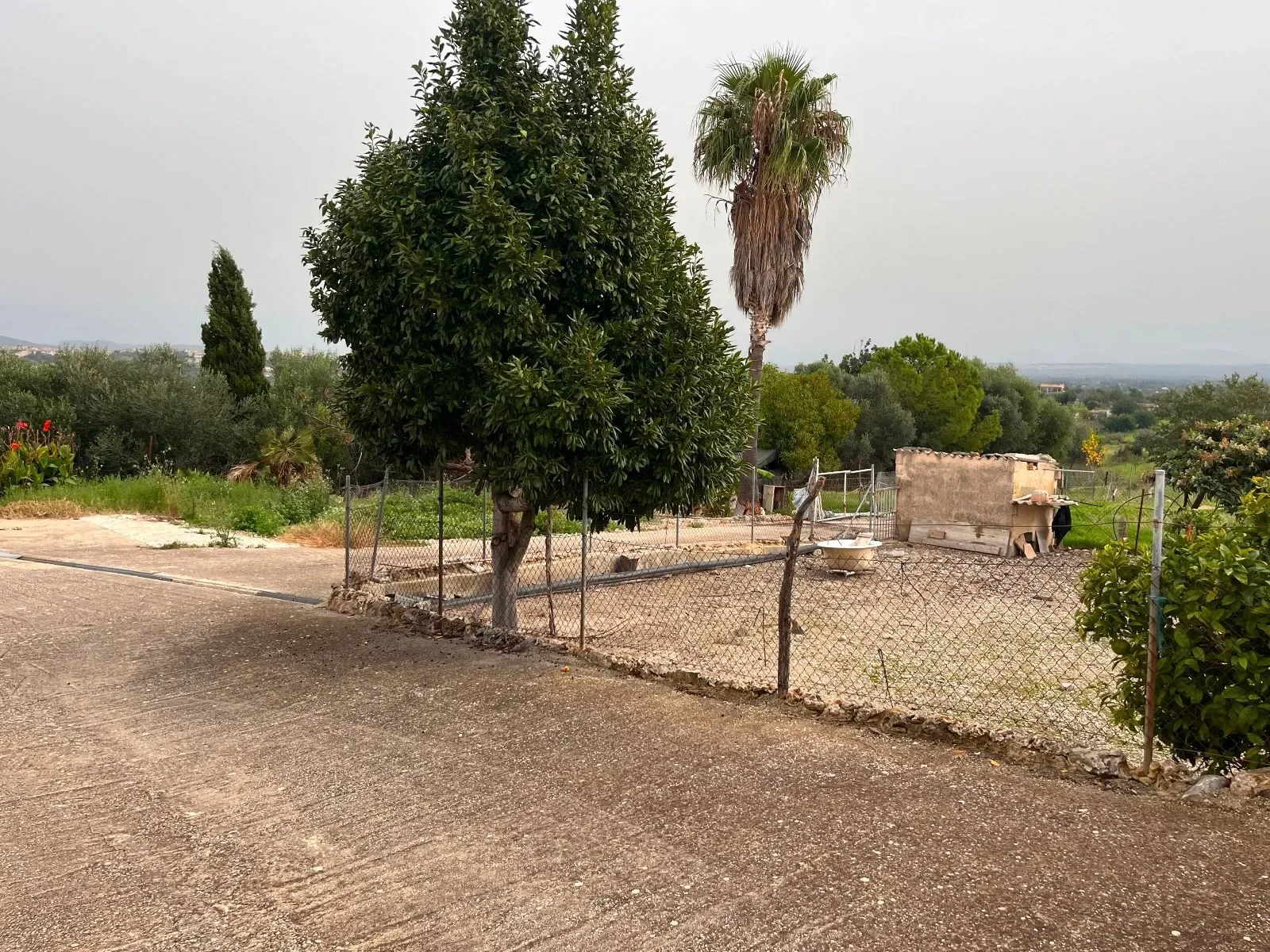 Moscari, Baleares, Moscari, Selva, Balearic Islands, Spain. - Photo 12