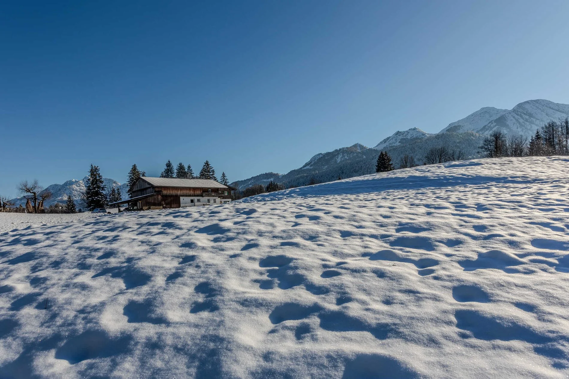 Am Berg, Fieberbrunn, Tyrol, Austria. - Photo 8