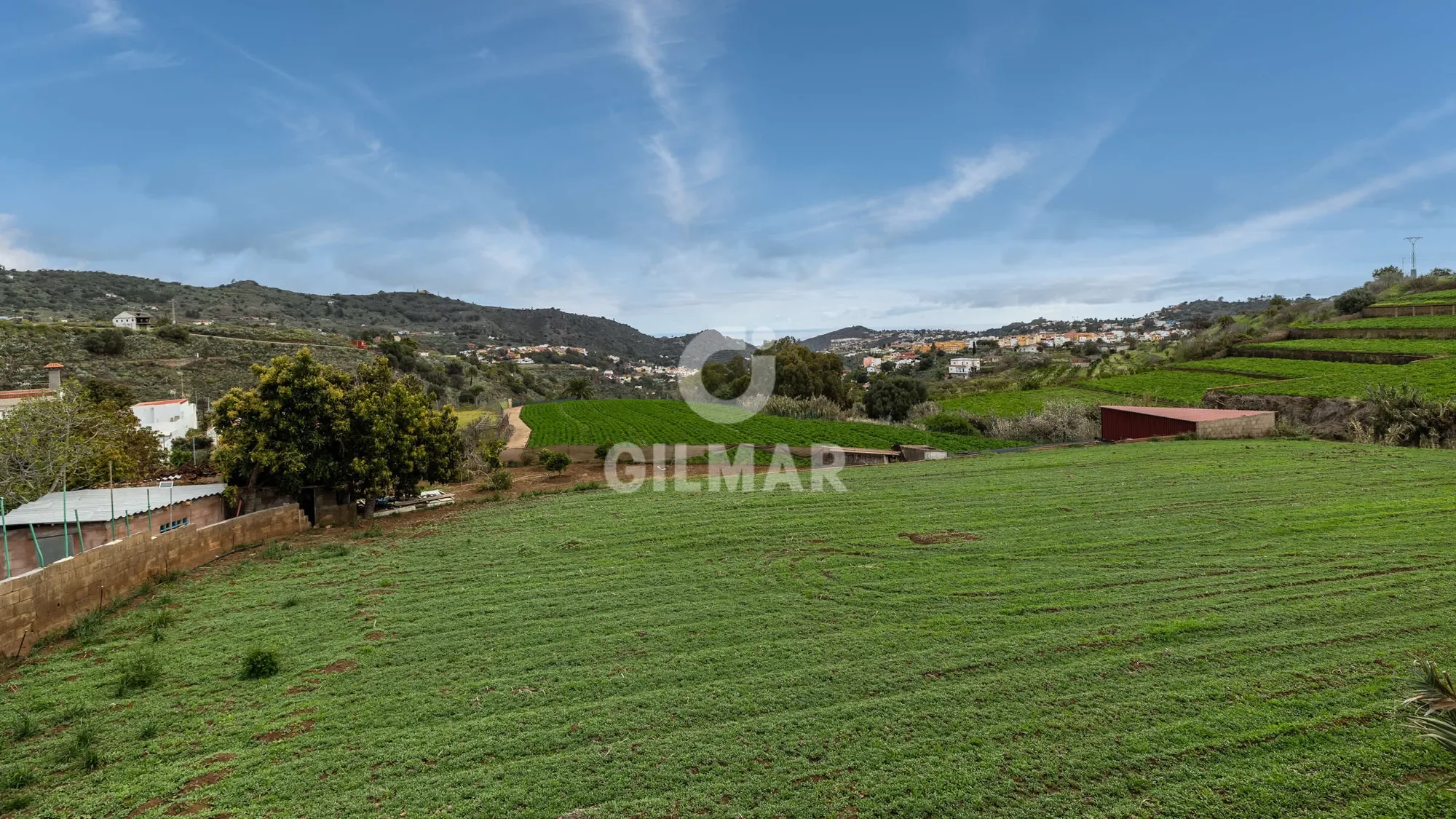 SANTA BRÍGIDA, Las Palmas, SANTA BRÍGIDA, Santa Brigida, Canary Islands, Spain. - Photo 2