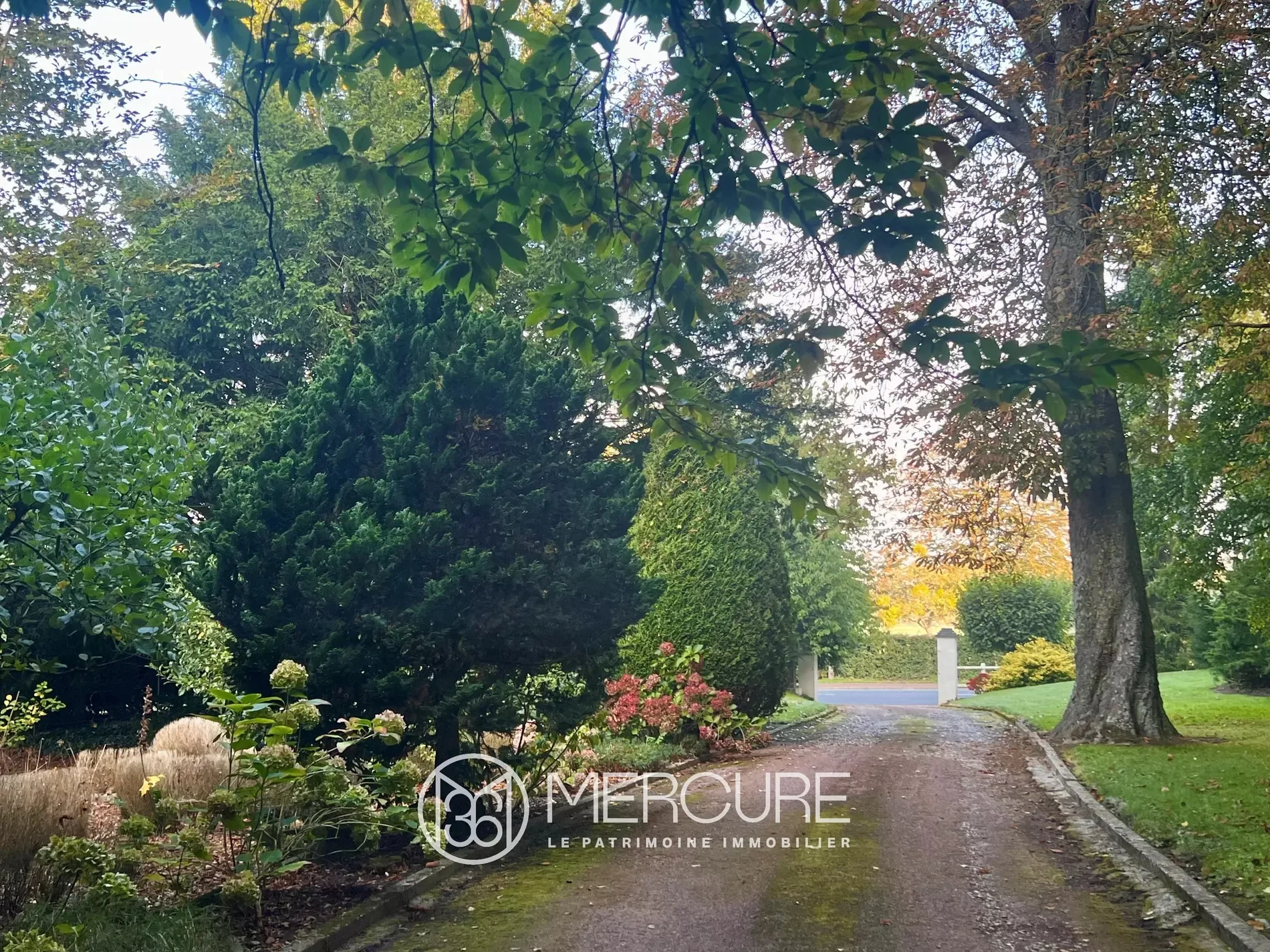 Hesdin-la-Forêt, Hauts-de-France, France. - Photo 10