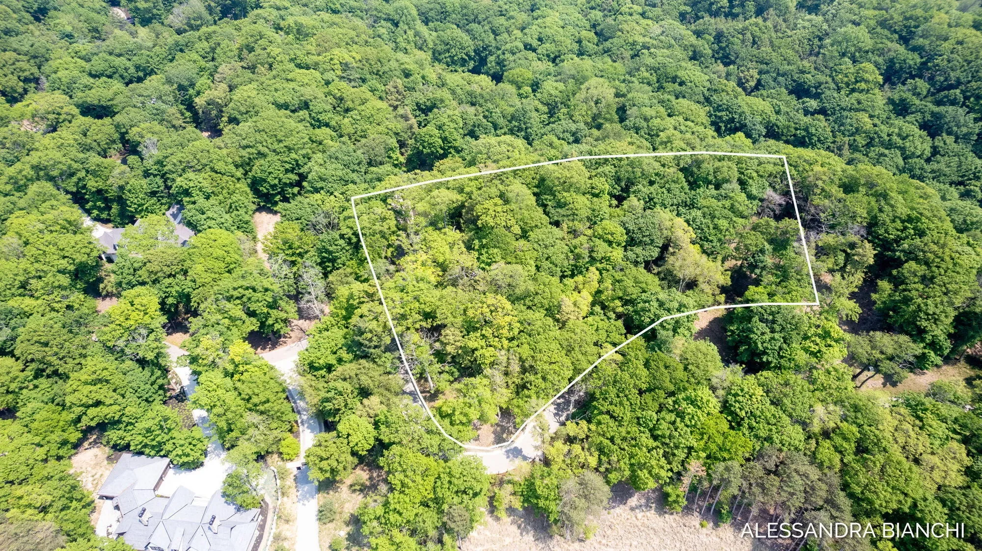 225 Dunegrass Ridge Drive, Saugatuck, MI 49453, Fennville, Michigan, United States. - Photo 30