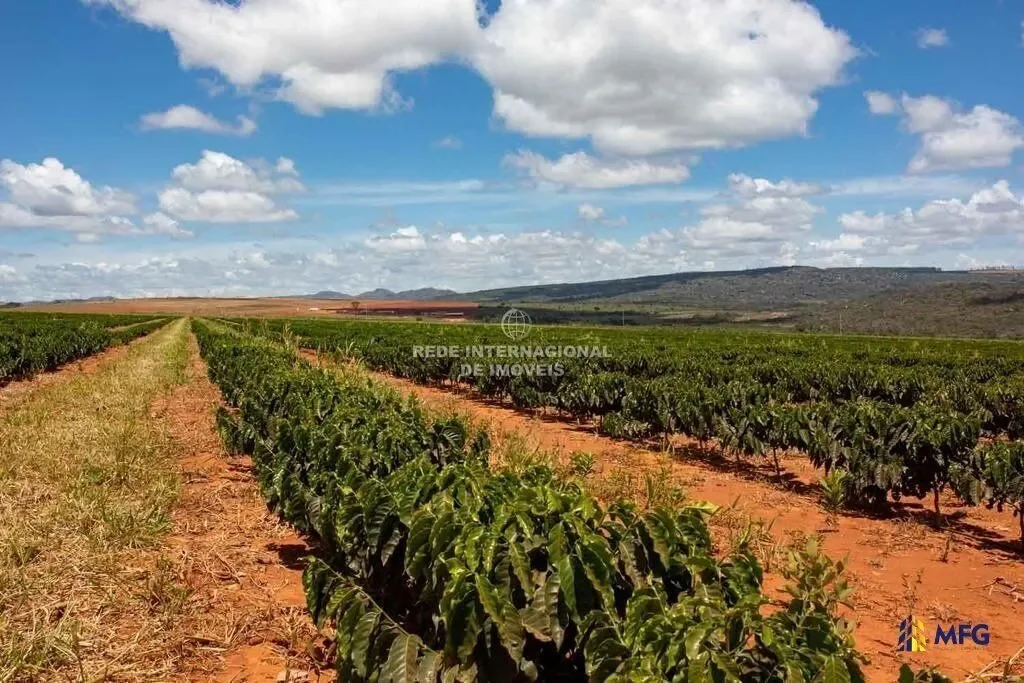 Francisco Dumont, State of Minas Gerais, Brazil. - Photo 3