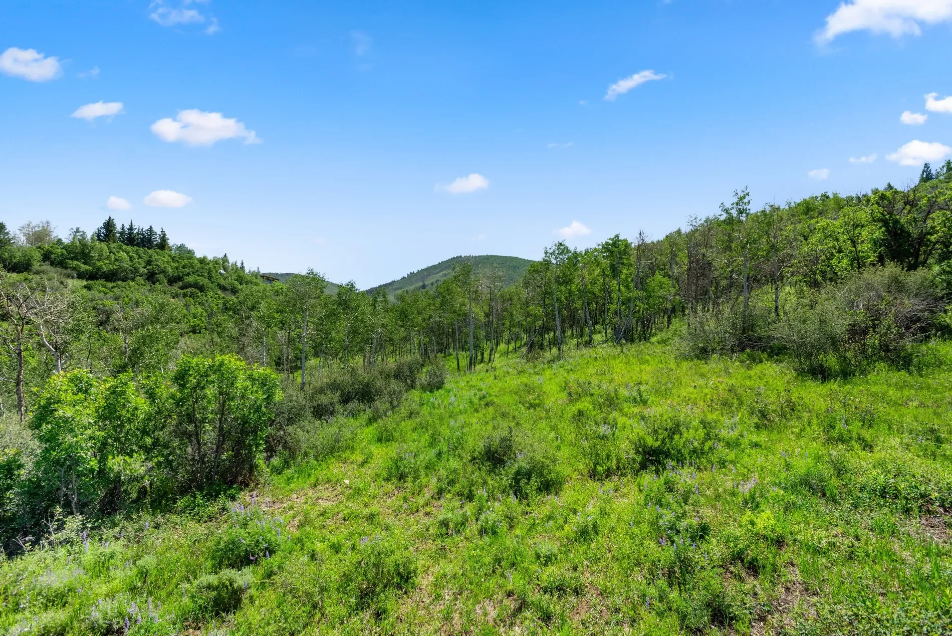 TBD Trentaz Drive , Aspen, CO 81611, Aspen, Colorado, United States. - Photo 6