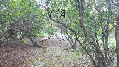 Thumbnail 14