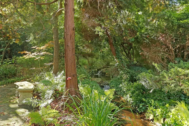 Warren Road, London, England, United Kingdom. - Photo 10