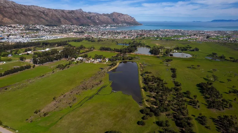 Cape Town, Western Cape, South Africa. - Photo 8