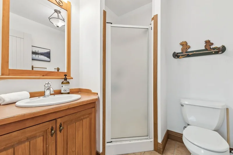 234 Ch. de la Forêt, Apt. 4, Mont-Tremblant, QC J8E3K3, Mont-Tremblant, Quebec, Canada. - Photo 25