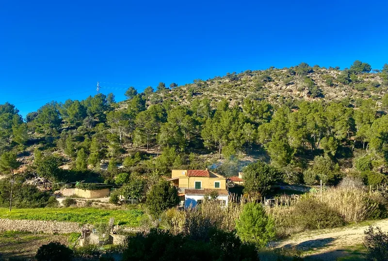 07159 San Telmo, Islas Baleares, España, Sant Elm, Andratx, Balearic Islands. - Photo 33