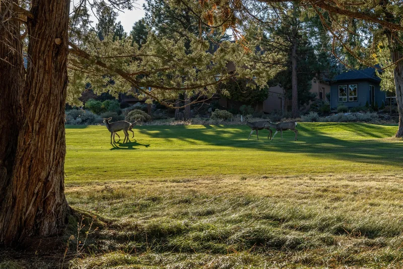 3237 NW Kidd, Bend, OR, 97703, USA, Bend, Oregon, United States. - Photo 29