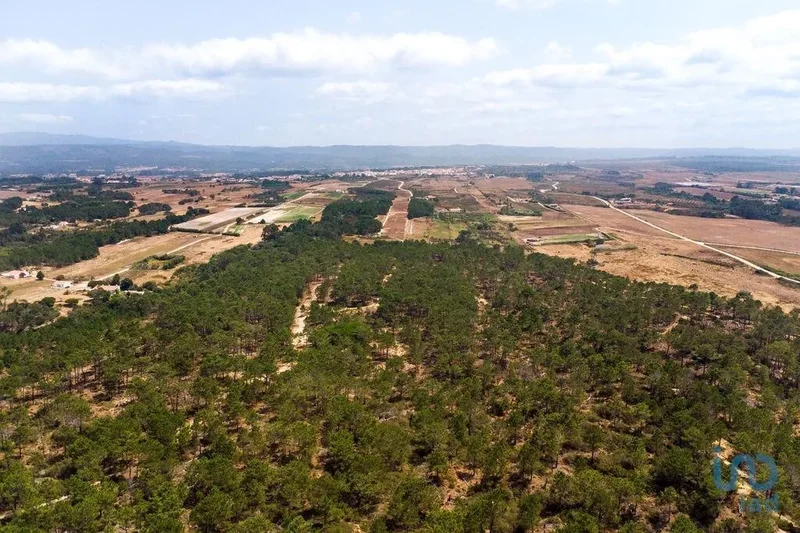 Rogil, Aljezur, Faro, Aljezur, Aljezur, Algarve, Portugal. - Photo 18