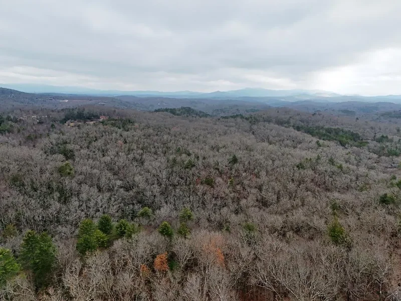 0 Dills Road, Blue Ridge, GA 30513, Blue Ridge, Georgia, United States. - Photo 17
