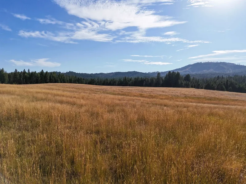 52XX Wagner Rd, Springdale, WA 99173, Springdale, Washington, United States. - Photo 29