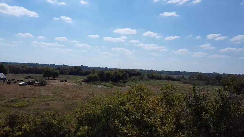 Tbd SW CR 3160, Dawson, TX 76639, Hubbard, Texas, United States. - Photo 23