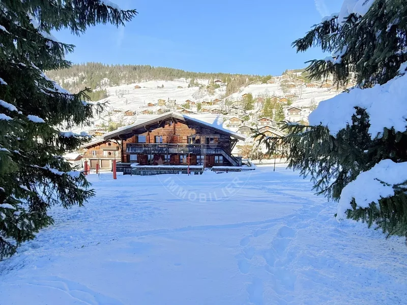 La Clusaz, Auvergne-Rhône-Alpes, France. - Photo 20