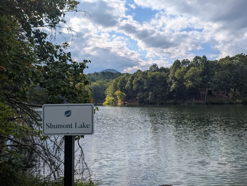 110 Lakewood Drive, Lake Lure, NC 28746, Lake Lure, North Carolina, United States. - Photo 50