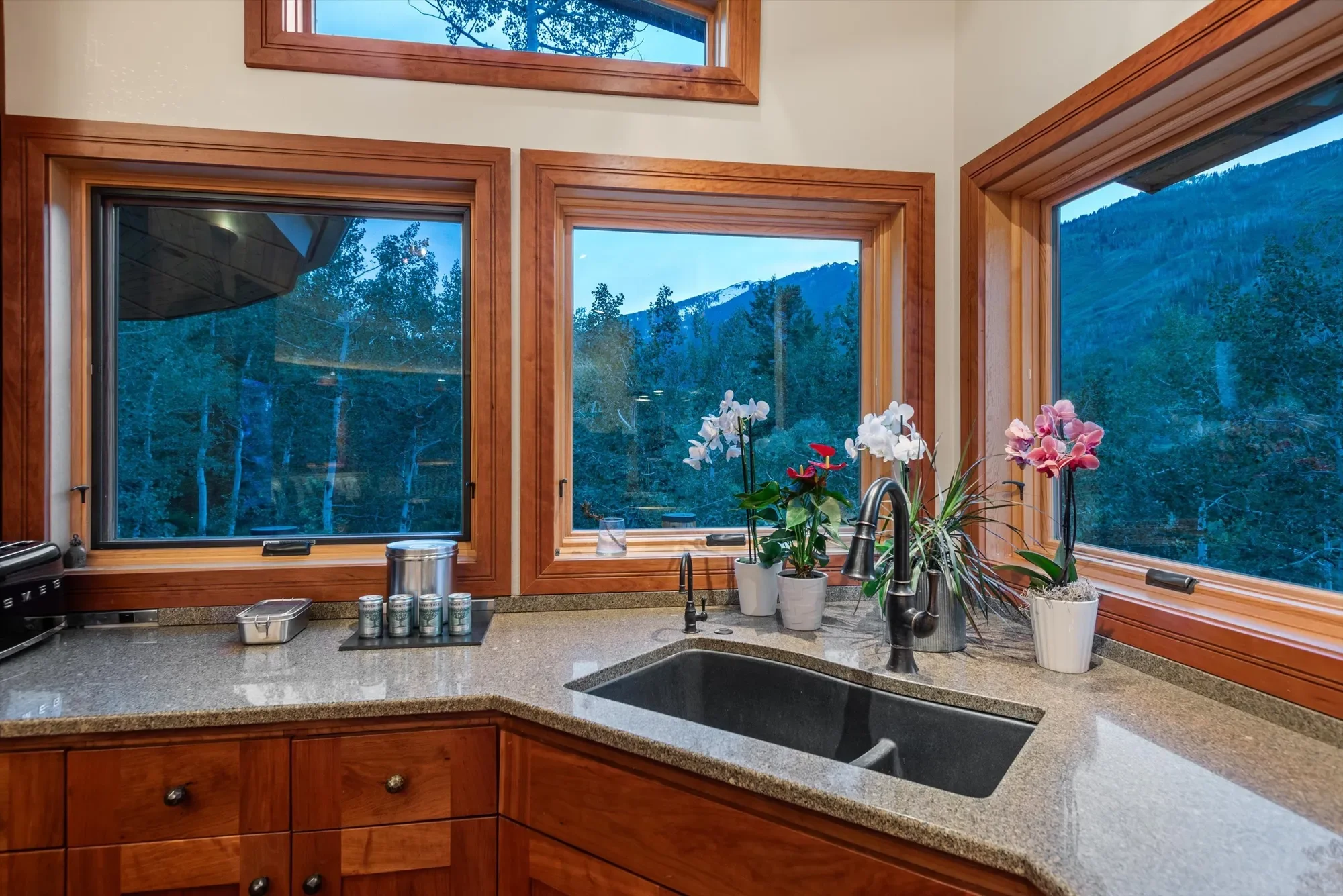 335 Hall Drive , Aspen, CO 81611, Aspen, Colorado, United States. - Photo 16