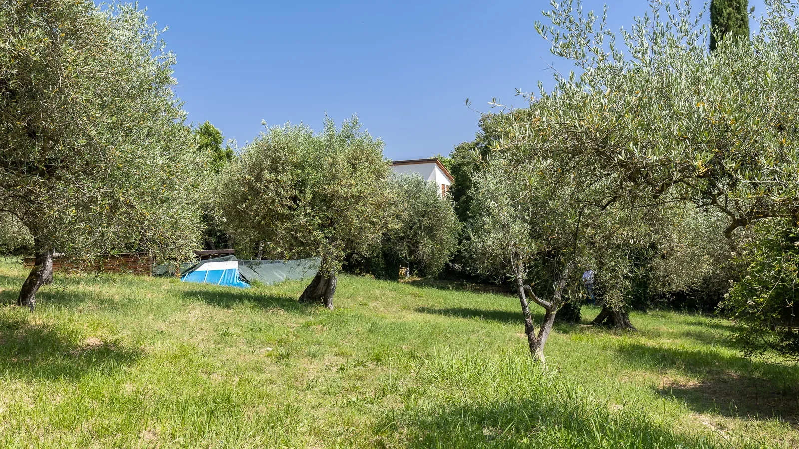 50023 Impruneta, Metropolitan City of Florence, Italy, Impruneta, Tuscany, Italy. - Photo 6