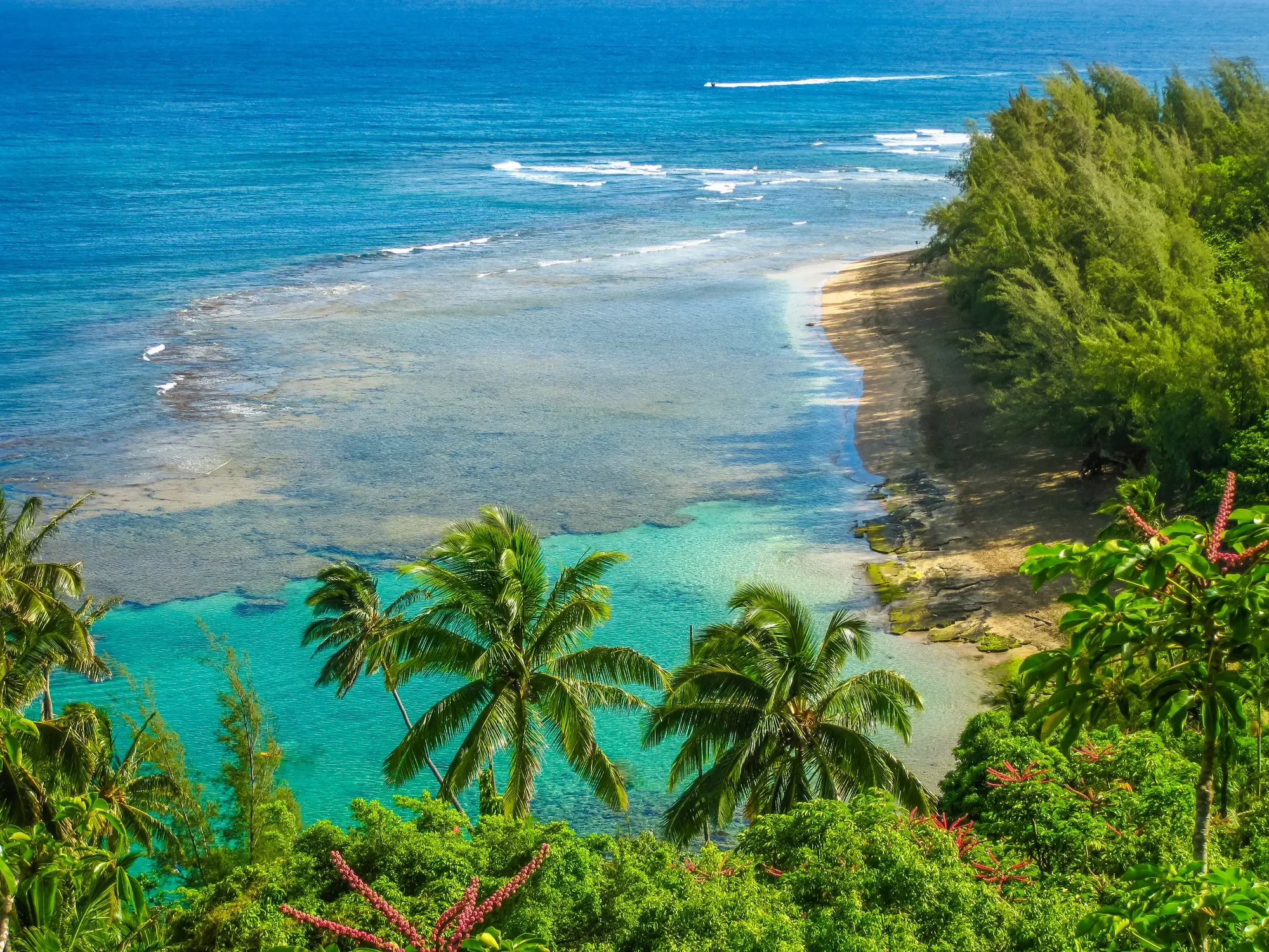 7312 ALEALEA RD, Hanalei, HI, 96722, USA, Kapaʻa, Hawaii, United States. - Photo 4