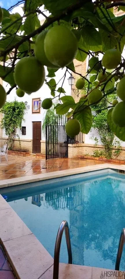 Écija, Sevilla, Écija, Ecija, Andalusia, Spain. - Photo 20