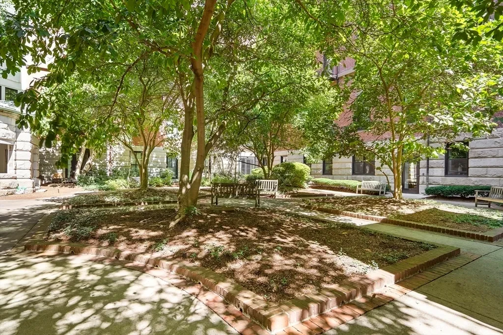771 Harrison Ave, Boston, Massachusetts, United States. - Photo 6