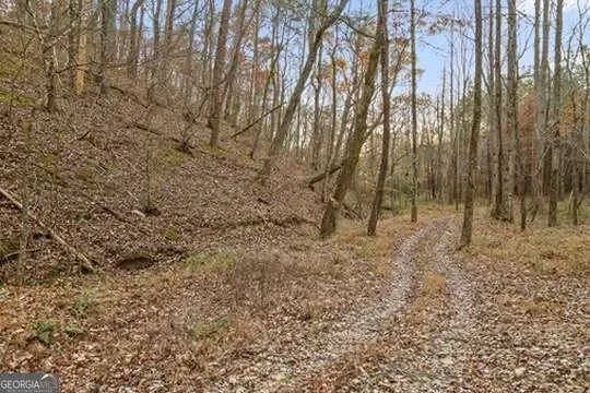 Chatsworth, Georgia, United States. - Photo 67