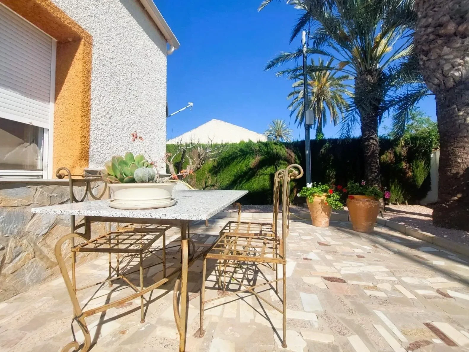 La Marina, Alicante, La Marina, Elx / Elche, Valencian Community, Spain. - Photo 30