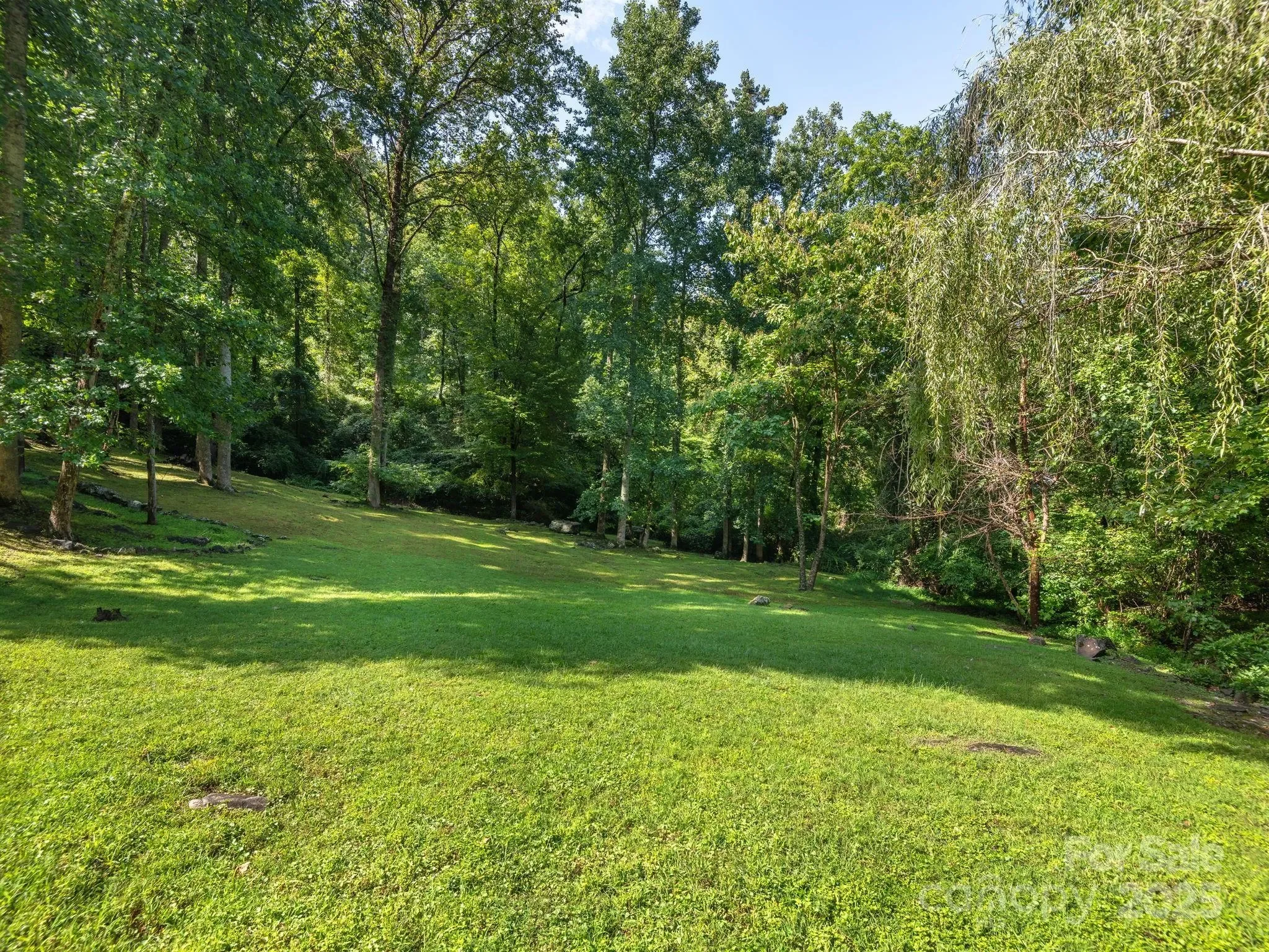 420 Chimney Rock Drive, Weaverville, NC 28787, Weaverville, North Carolina, United States. - Photo 36