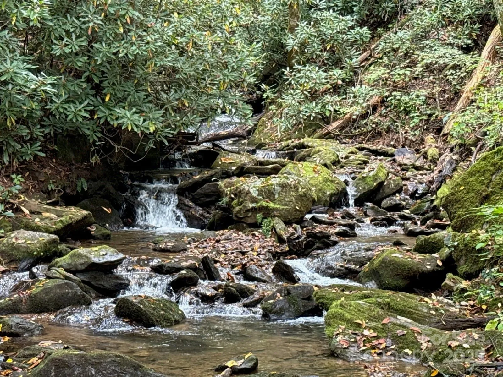 226 Wildcat Mountain Trail, Sylva, NC 28779, Sylva, North Carolina, United States. - Photo 2