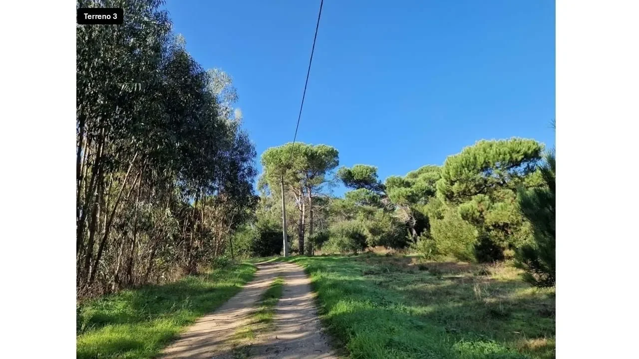 Praia das Maçãs, Lisboa, Colares, Lisbon, Portugal. - Photo 2