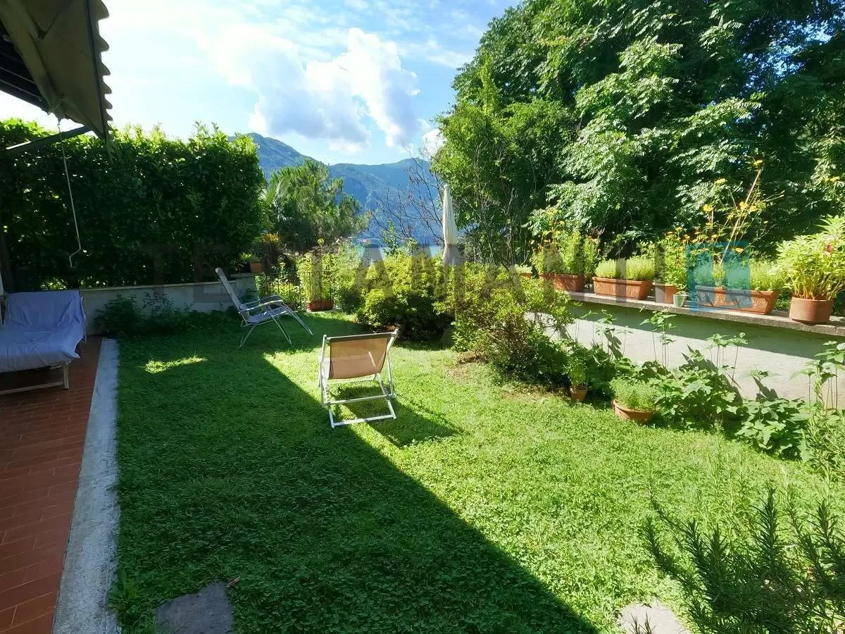 Gallery photo 7