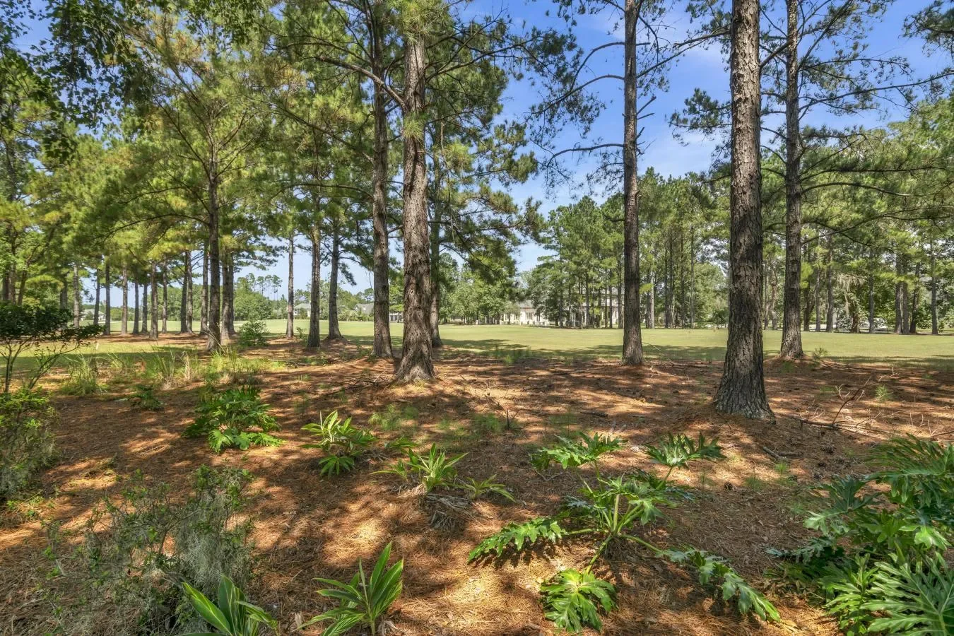 312 Spanton Crescent, Pooler, Georgia, United States. - Photo 26