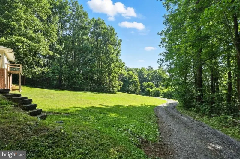 46 Rock Ridge Lane, Chester Gap, VA 22623, Chester Gap, Virginia, United States. - Photo 59