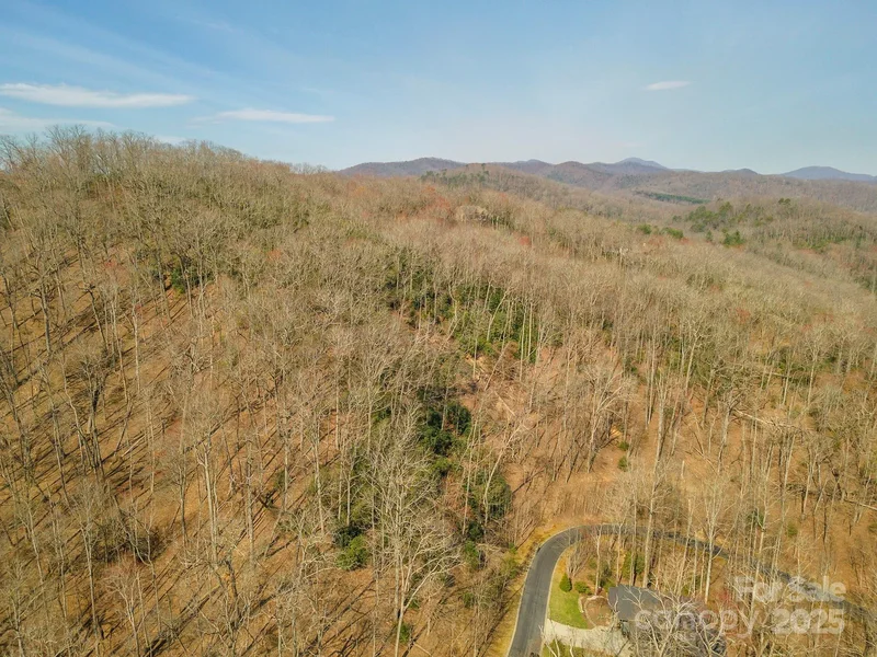 0 Shining Rock Path 11, Horse Shoe, North Carolina, United States. - Photo 29