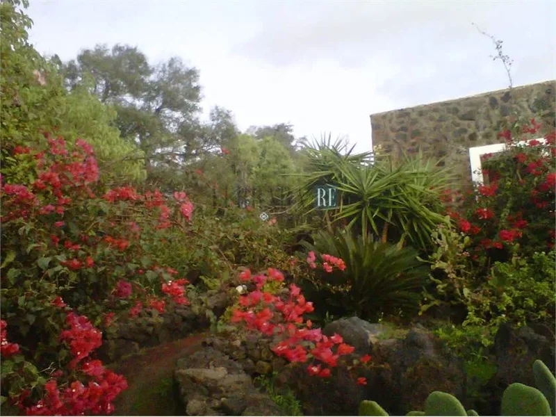 Contrada Cimillia , Pantelleria (TP), Pantelleria, Sicily, Italy. - Photo 12