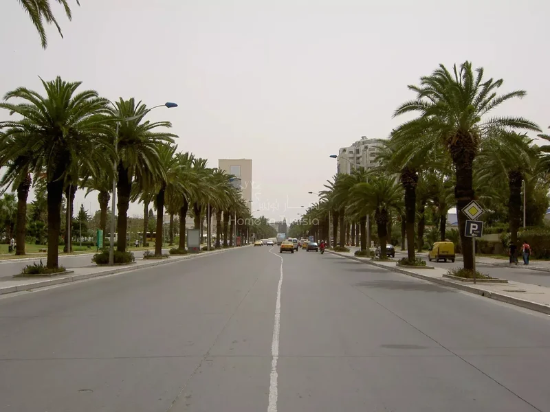 Tunis Building Land